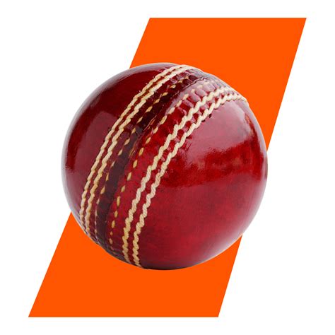 cricket betting|7 Best Online Cricket Betting Sites USA in 2025 .
